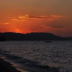 Alkionides * 폴리크로노