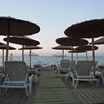 Alkionides *