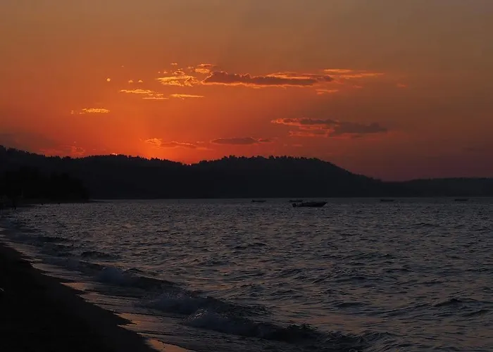 Alkionides * Polychrono