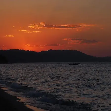 Alkionides * Polychrono