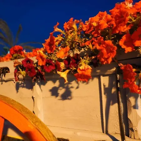 Alkionides * Polychrono