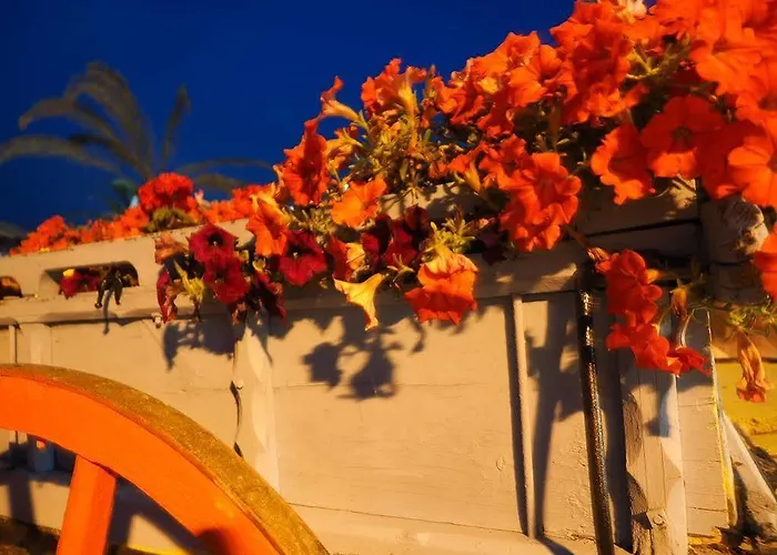 Alkionides * Polychrono